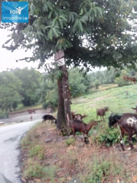 Terreno P/ Prédio para Venda em Povoa de Lanhoso (N. Senhora do Amparo)