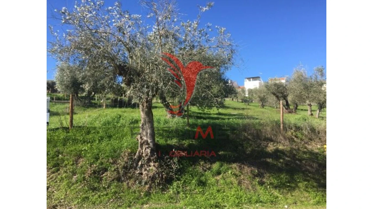 Terreno para Venda em Montargil Foto 1