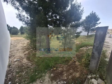 Terreno para Venda em Pinhal Novo