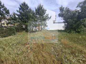 Terreno para Venda em Pinhal Novo