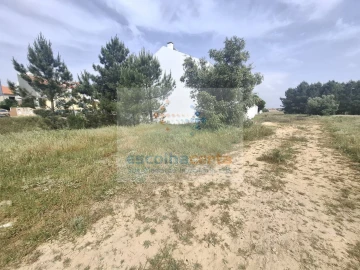 Terreno para Venda em Pinhal Novo