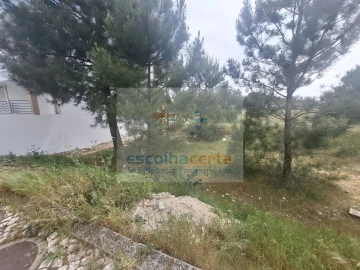 Terreno para Venda em Pinhal Novo