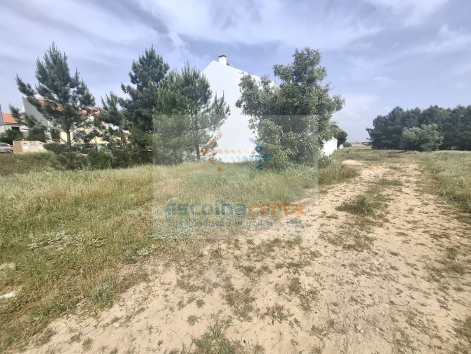 Terreno para Venda em Pinhal Novo Foto 13