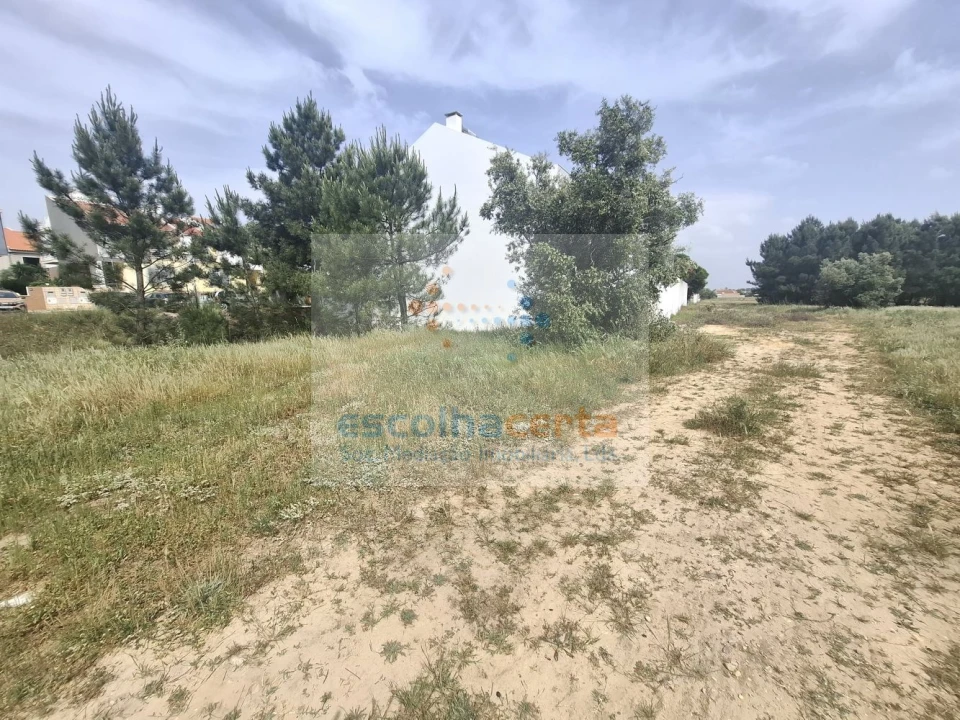 Terreno para Venda em Pinhal Novo Foto 13