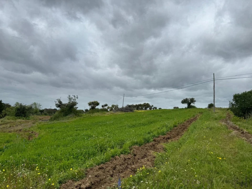 Quinta T0 para Venda em Torrão Foto 7