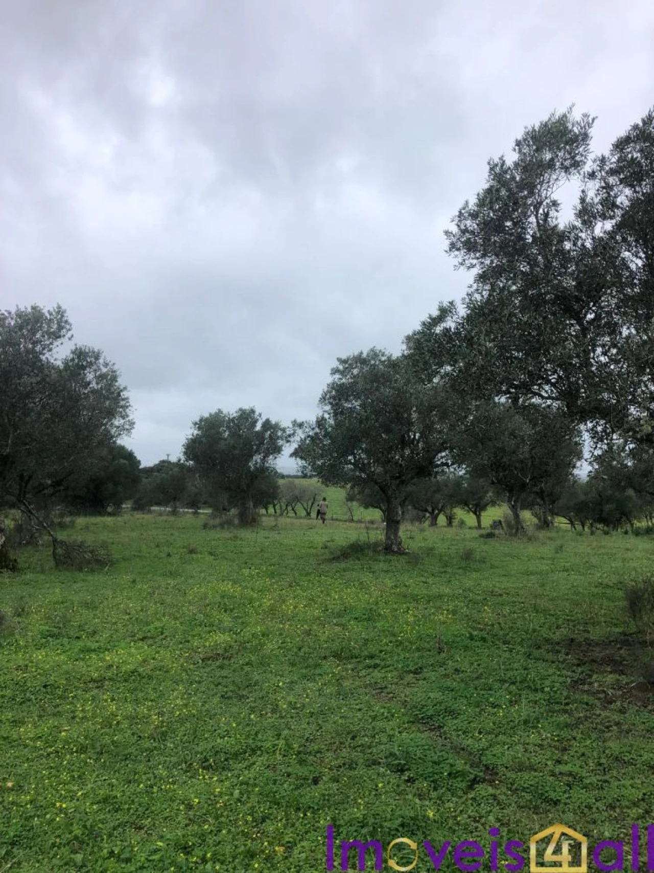 Quinta T0 para Venda em Torrão Foto 2