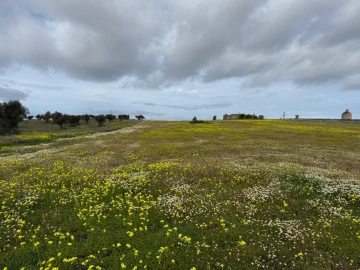 Quinta T0 para Venda em Torrão