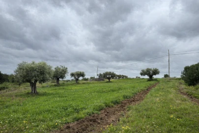 Quinta T0 para Venda em Torrão