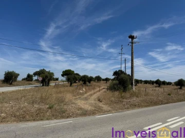 Quinta T0 para Venda em Torrão