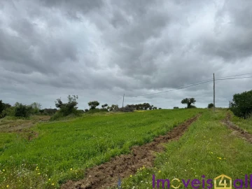 Quinta T0 para Venda em Torrão