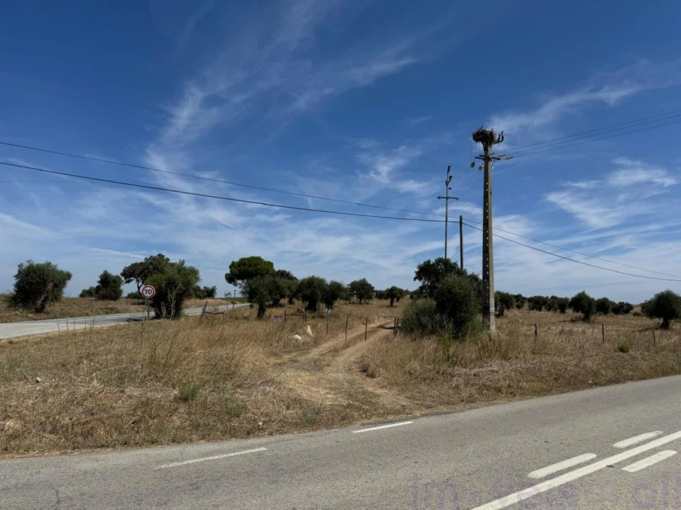 Quinta T0 para Venda em Torrão Foto 8