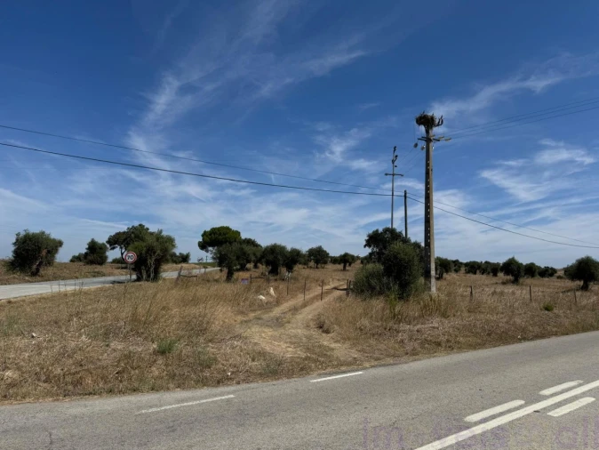 Quinta T0 para Venda em Torrão Foto 8