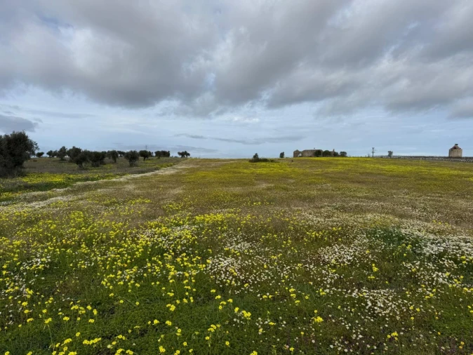 Quinta T0 para Venda em Torrão Foto 10