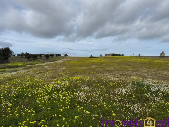 Quinta T0 para Venda em Torrão Foto 10