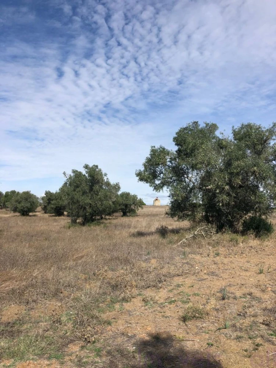 Quinta T0 para Venda em Torrão Foto 29