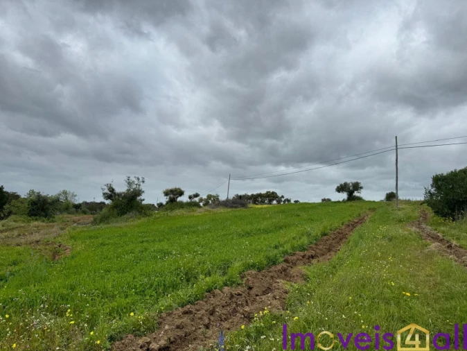 Quinta T0 para Venda em Torrão Foto 7