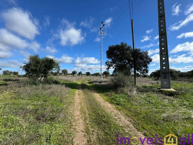 Quinta T0 para Venda em Torrão Foto 9