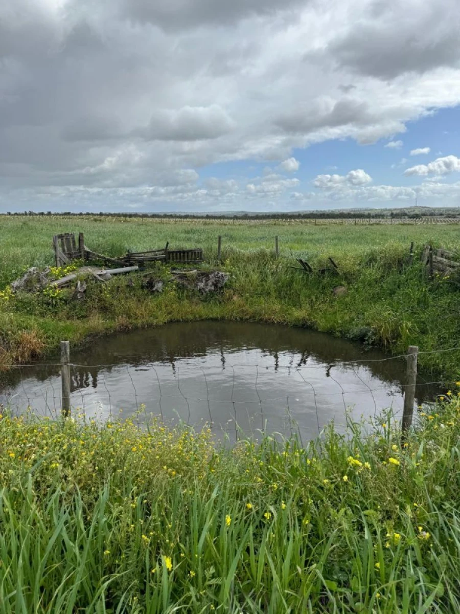 Quinta T0 para Venda em Torrão Foto 6