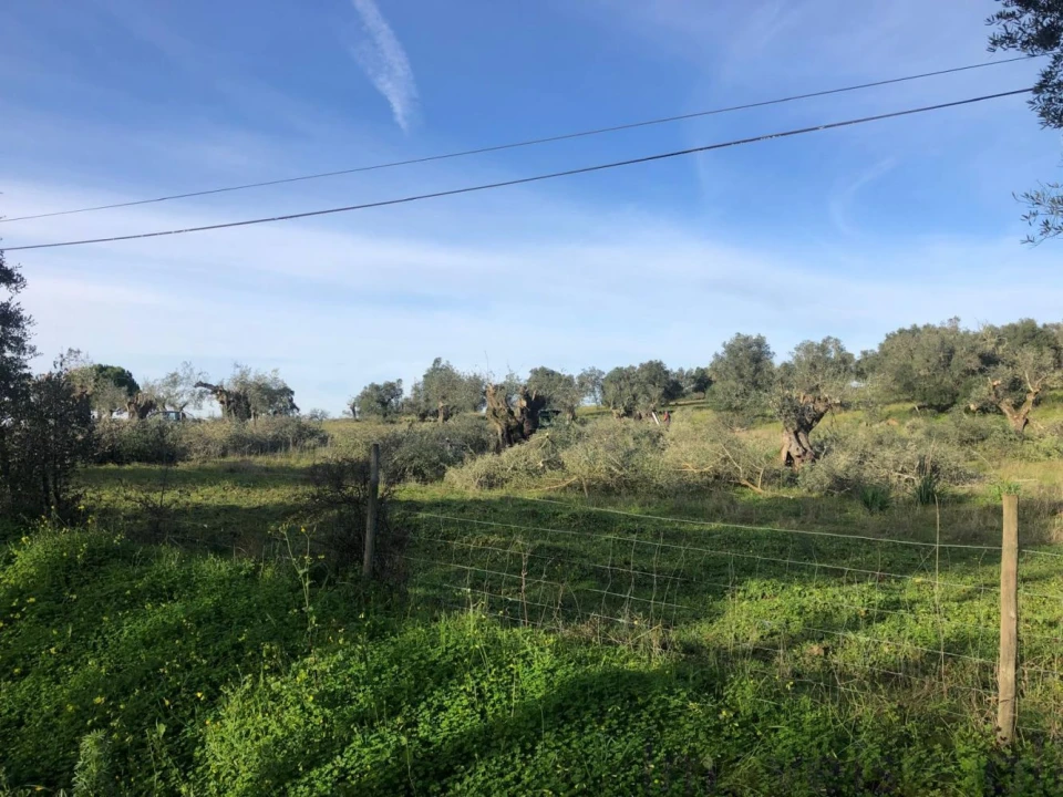 Quinta T0 para Venda em Torrão Foto 27