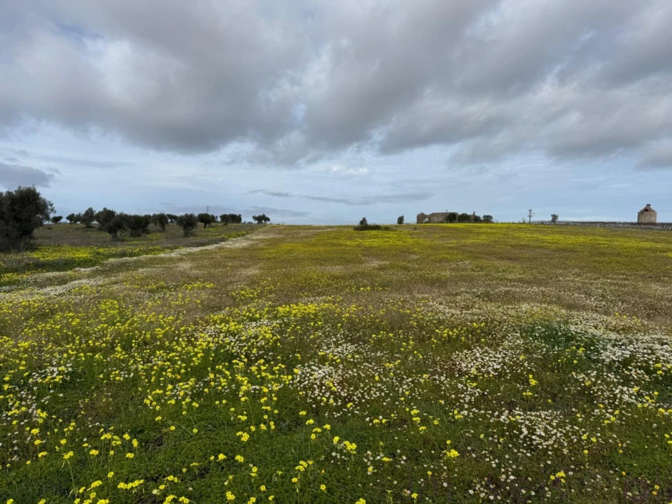 Quinta T0 para Venda em Torrão Foto 10