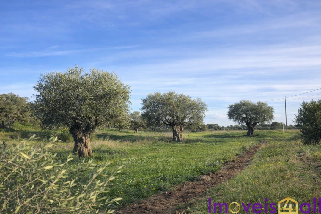 Quinta T0 para Venda em Torrão Foto 13
