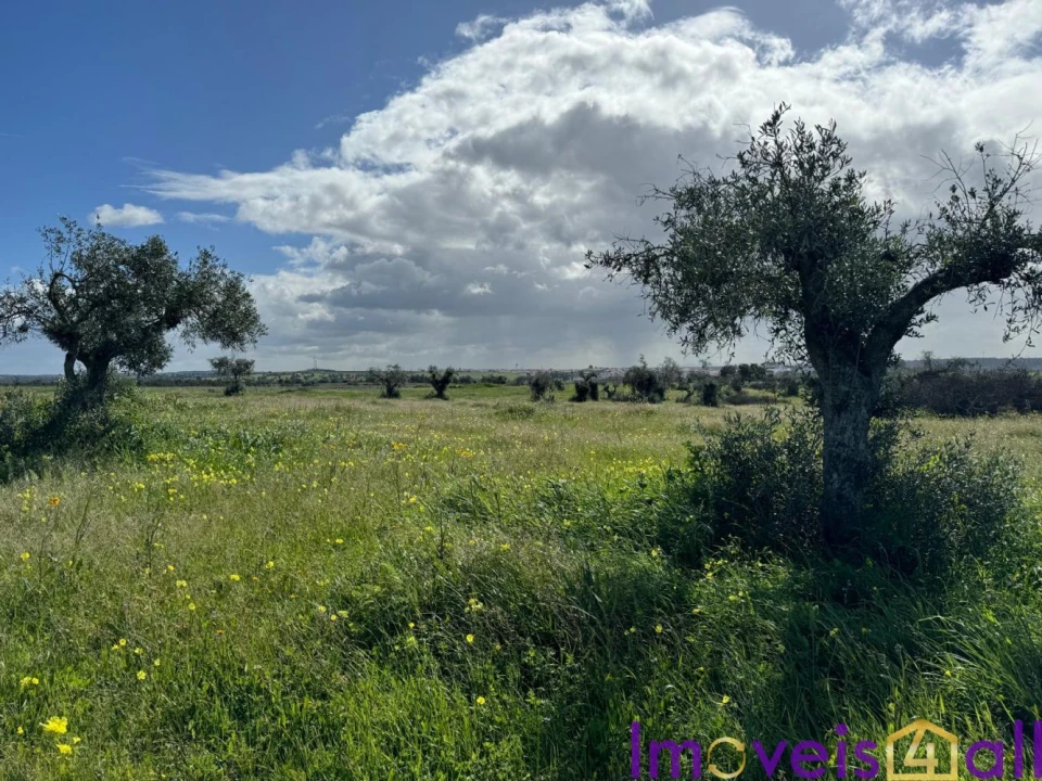 Quinta T0 para Venda em Torrão Foto 26