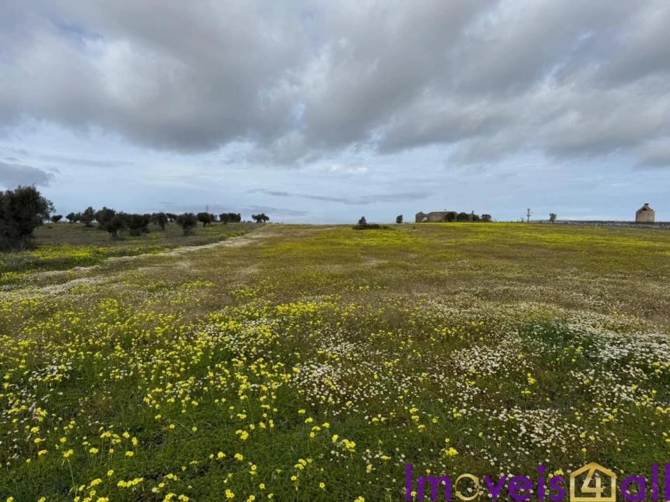 Quinta T0 para Venda em Torrão Foto 10