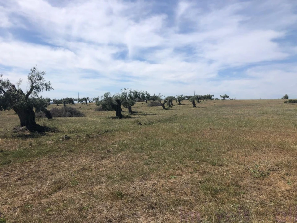 Quinta T0 para Venda em Torrão Foto 25