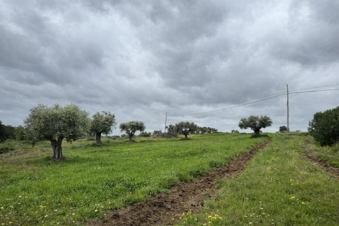 Quinta T0 para Venda em Torrão Foto 12