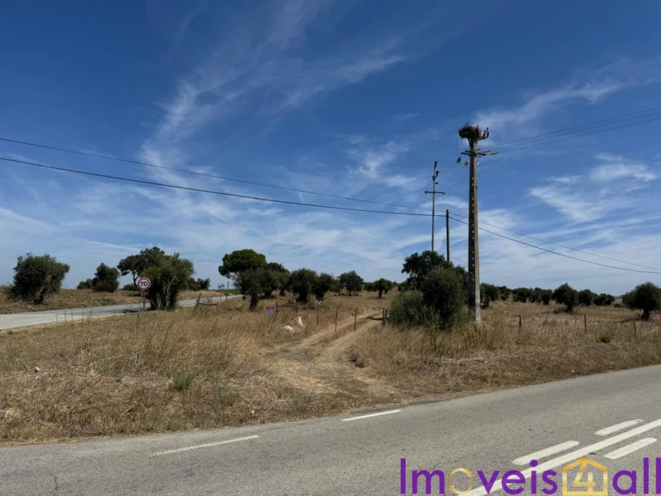 Quinta T0 para Venda em Torrão Foto 8