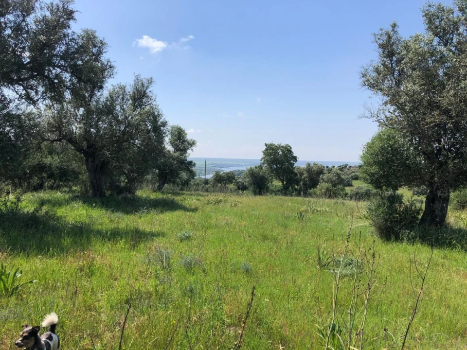 Quinta T0 para Venda em Torrão Foto 21