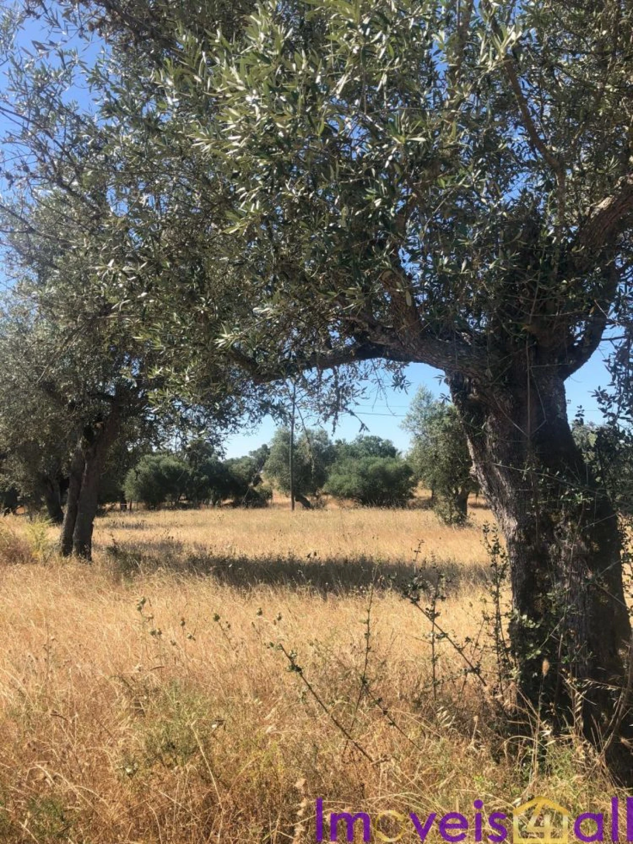 Quinta T0 para Venda em Torrão Foto 20