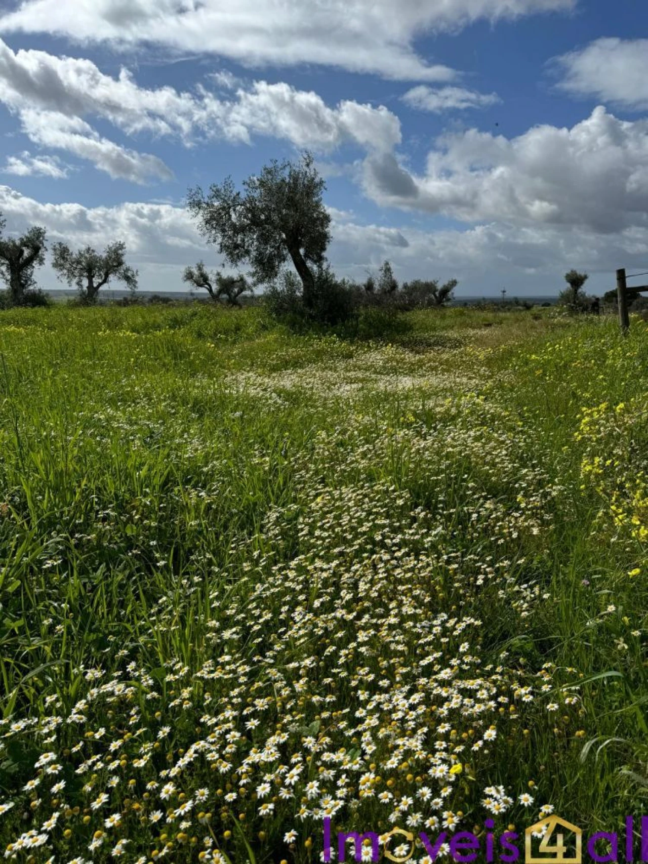 Quinta T0 para Venda em Torrão Foto 5