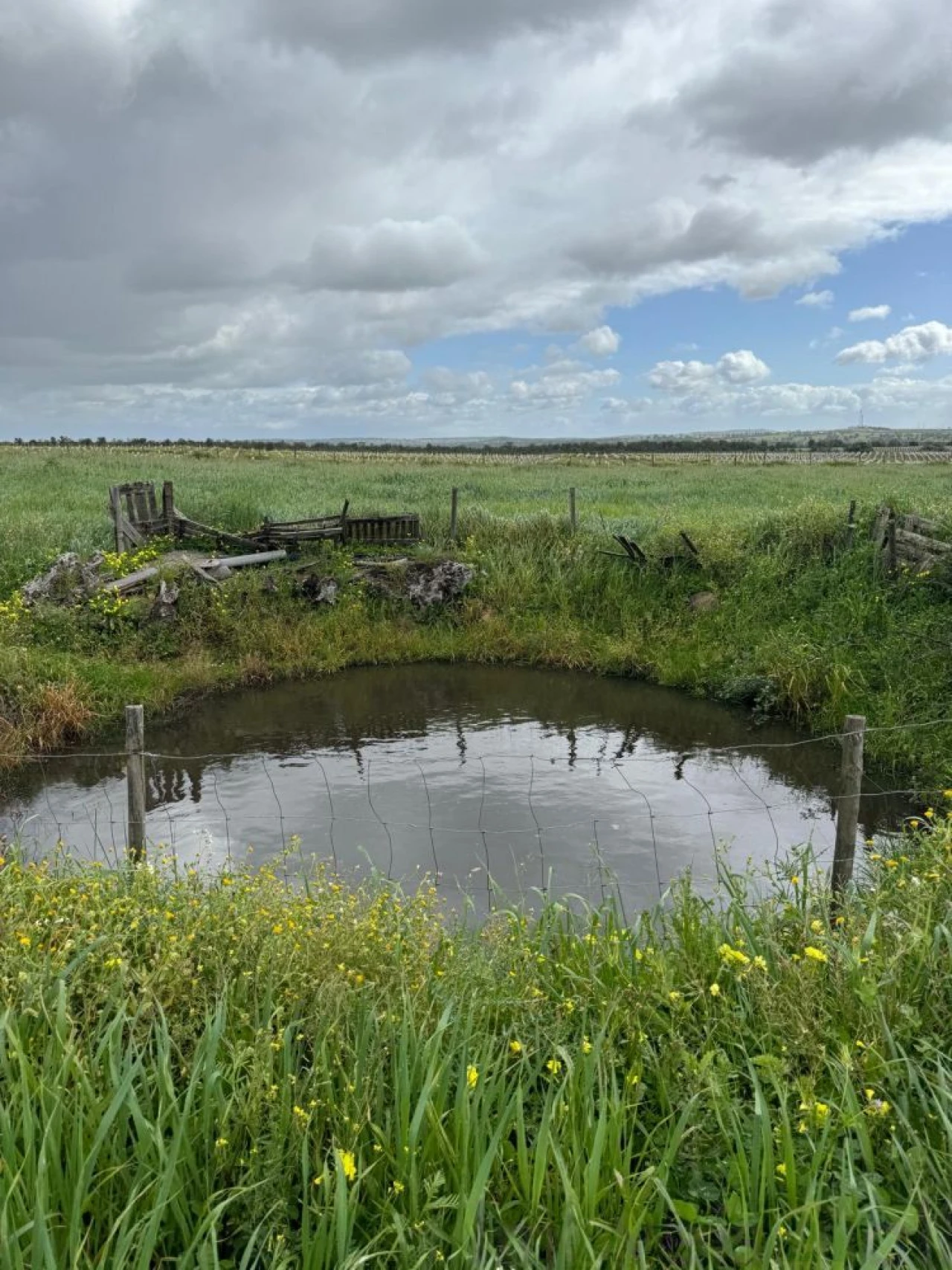 Quinta T0 para Venda em Torrão Foto 6