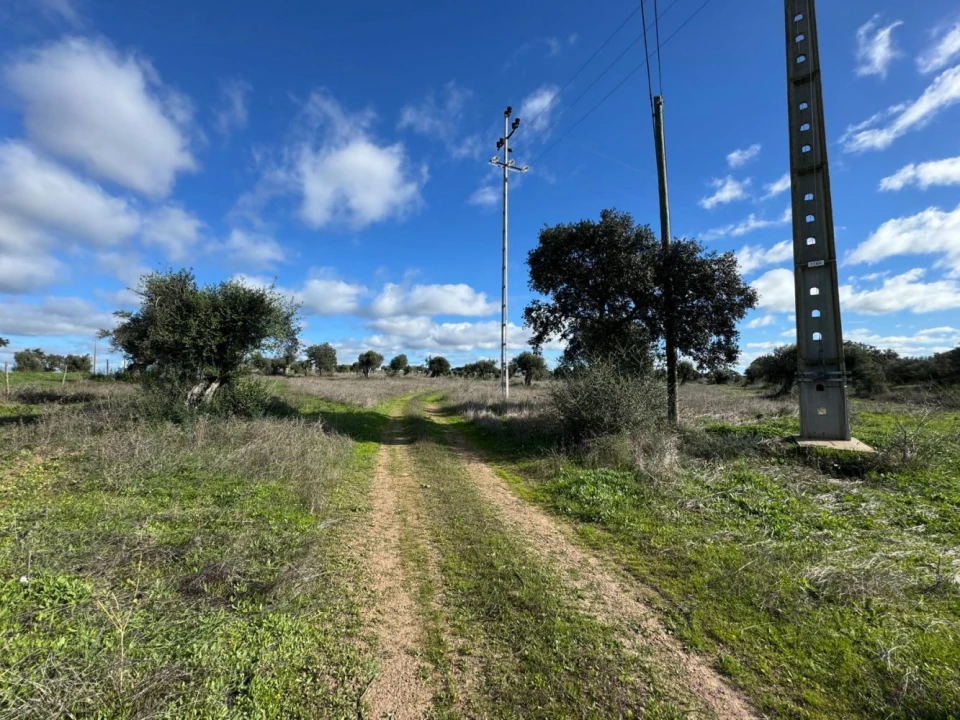 Quinta T0 para Venda em Torrão Foto 9
