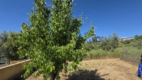 Moradia T2 para Venda em Igreja Nova do Sobral