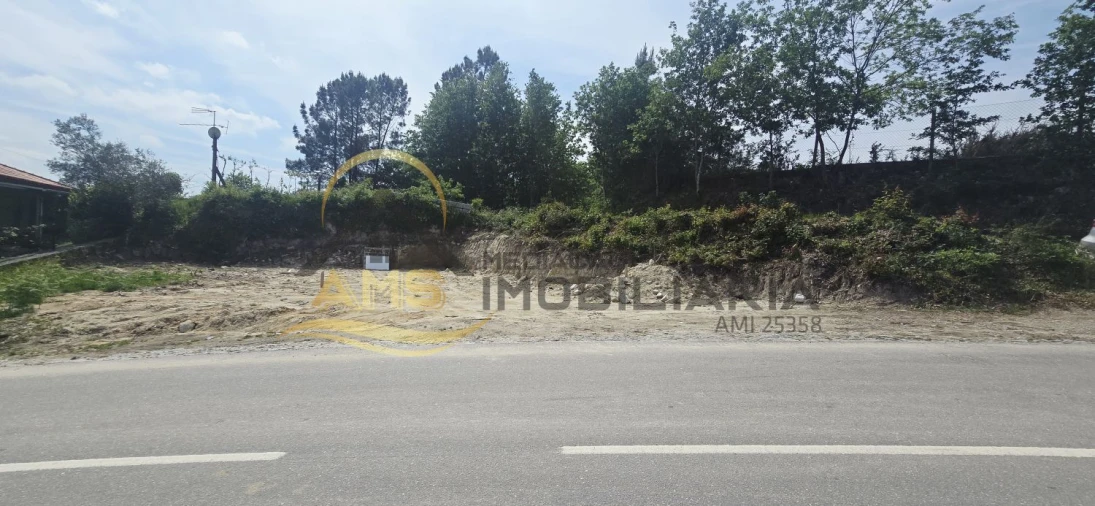 Terreno para Venda em Passos Foto 2