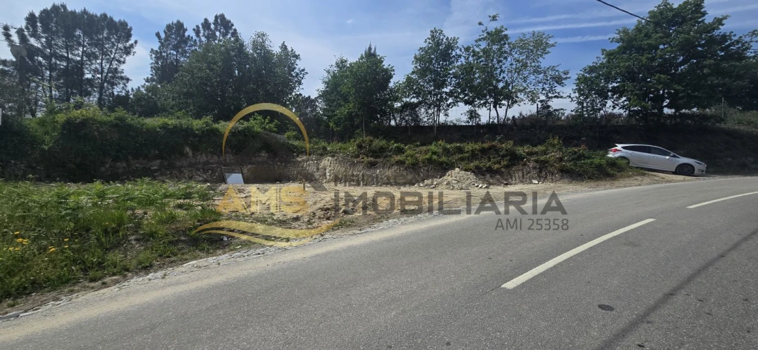 Terreno para Venda em Passos Foto 6