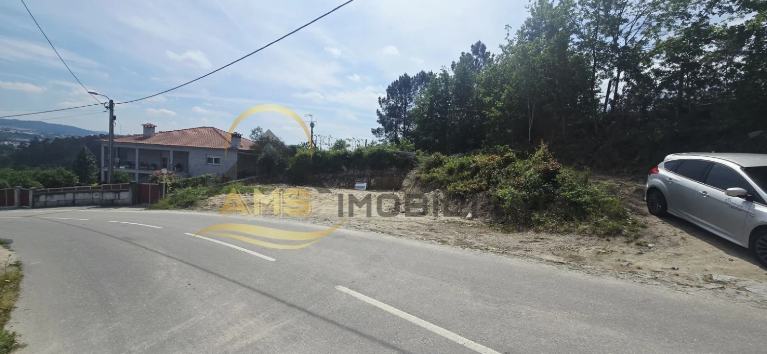 Terreno para Venda em Passos Foto 3