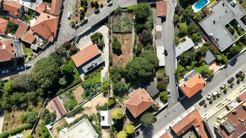 Terreno para Venda em Mozelos