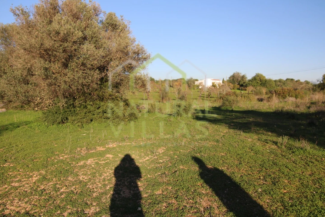 Terreno Agricola ou Rústico para Venda em Pechão Foto 9