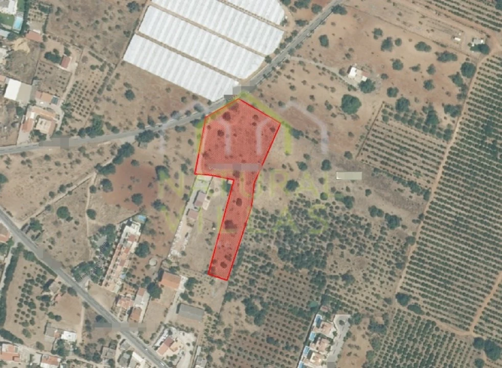 Terreno Agricola ou Rústico para Venda em Pechão Foto 14