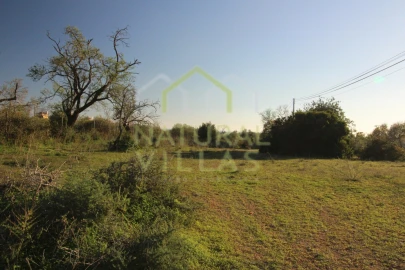 Terreno Agricola ou Rústico para Venda em Pechão