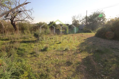 Terreno Agricola ou Rústico para Venda em Pechão