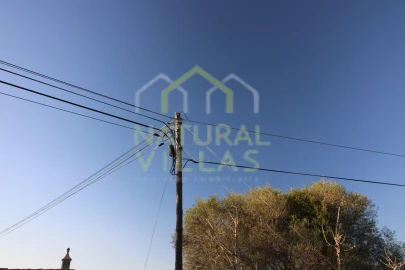 Terreno Agricola ou Rústico para Venda em Pechão