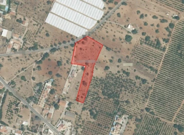 Terreno Agricola ou Rústico para Venda em Pechão