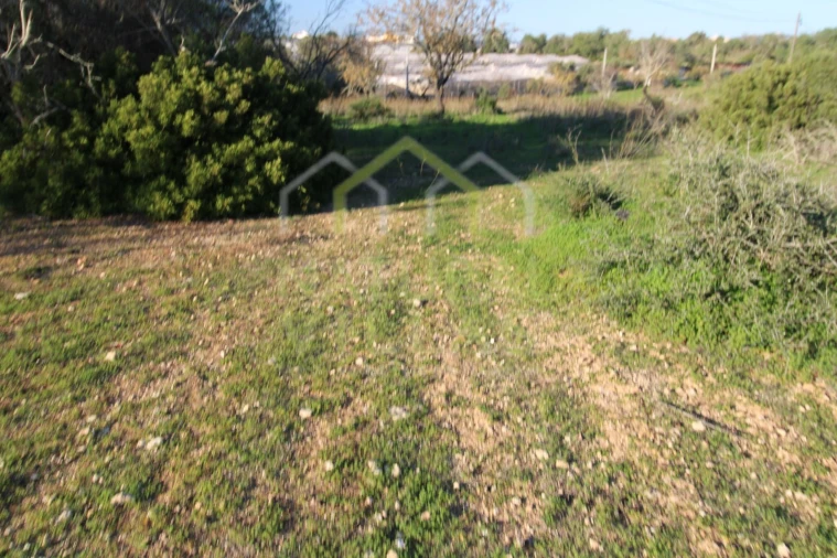 Terreno Agricola ou Rústico para Venda em Pechão Foto 3