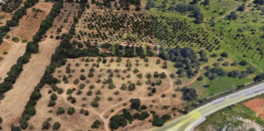 Terreno para Venda em Loule (São Clemente)