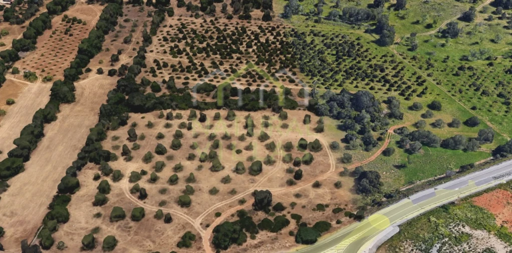 Terreno para Venda em Loule (São Clemente) Foto 5