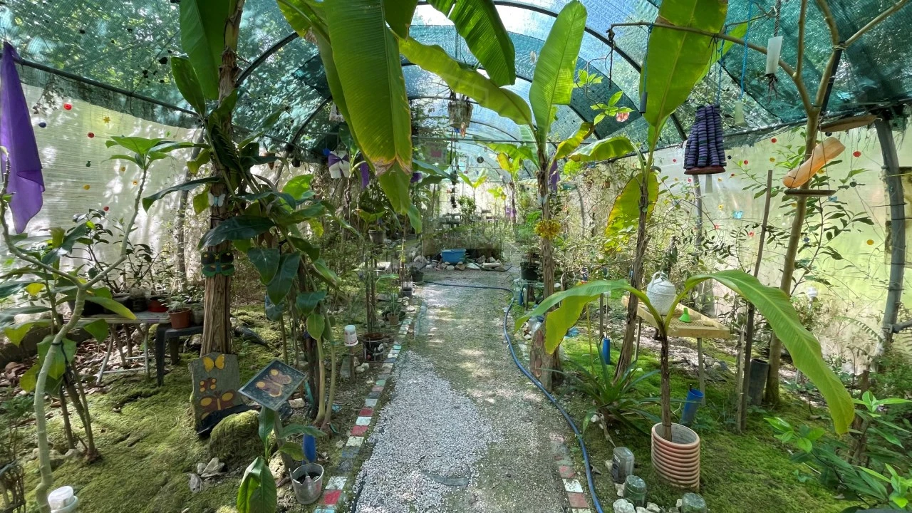 Moradia T3 para Venda em Ganfei Foto 16